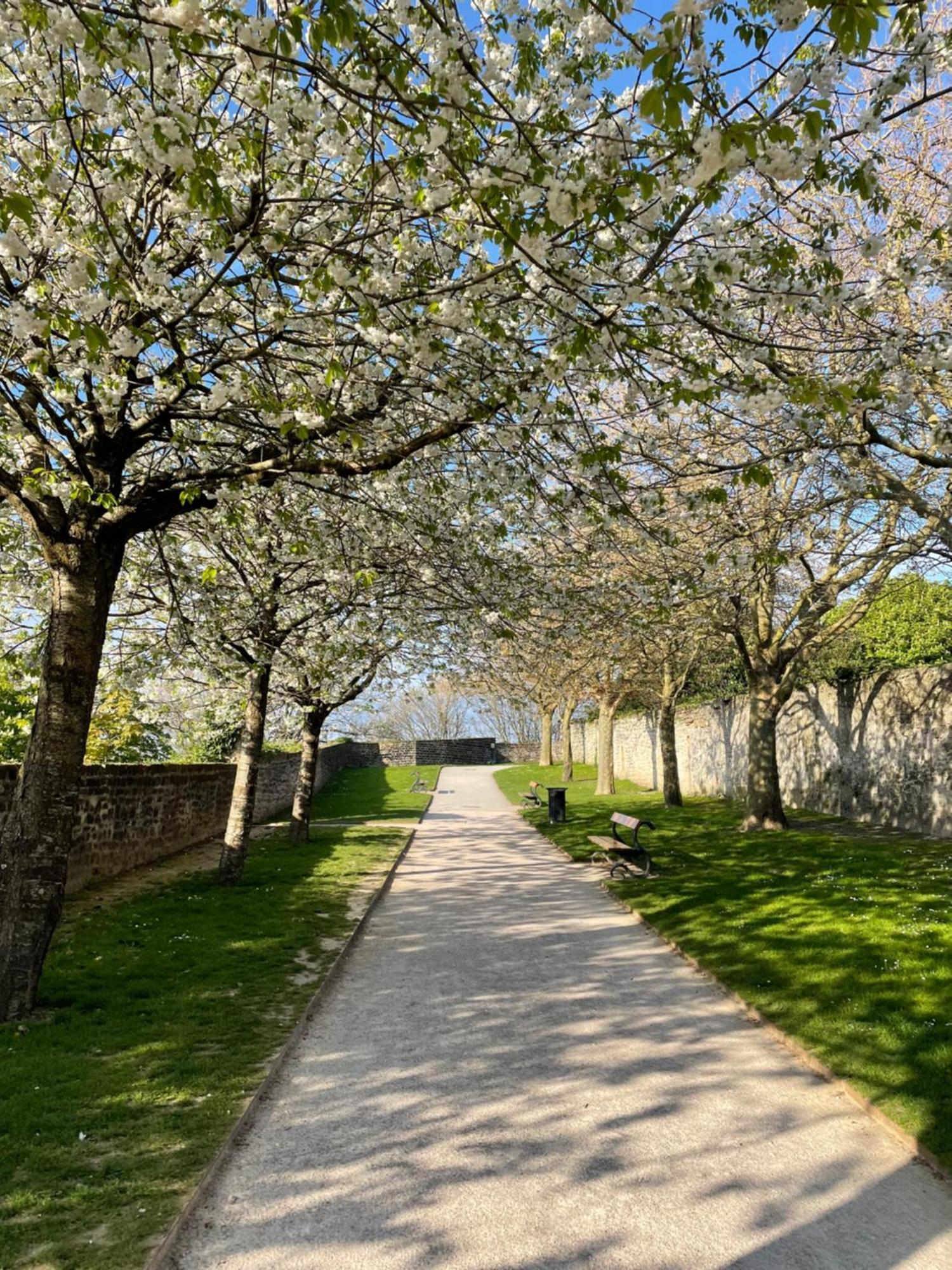 滨海布洛涅La Boulonnaise住宿加早餐旅馆 外观 照片